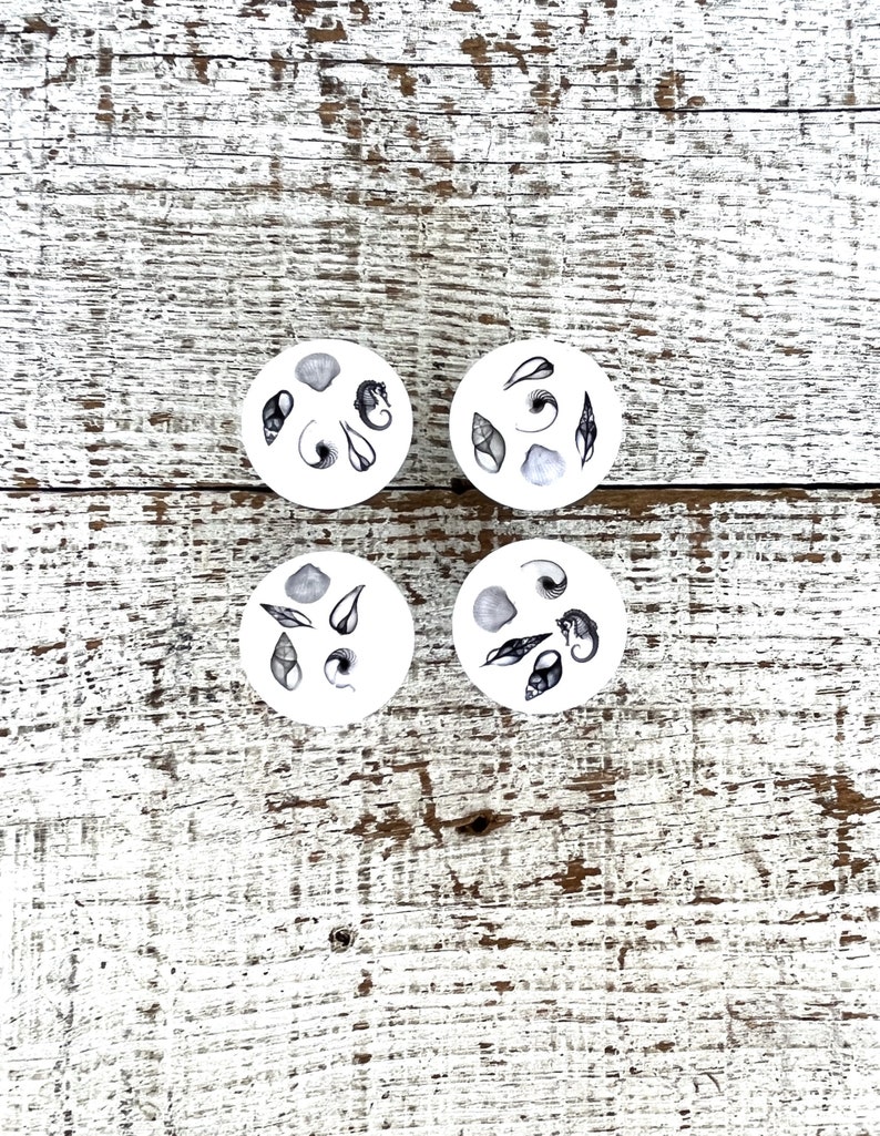 Peut inclure: Quatre sous-verres ronds blancs avec des illustrations noires et blanches de coquillages et de vie marine. Les sous-verres sont pos&eacute;s sur une surface en bois blanc.