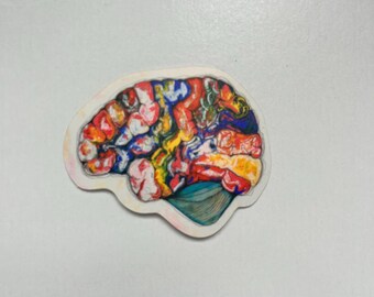 Op de afbeelding: Een kleurrijke sticker met een gedetailleerde illustratie van een menselijk brein. Het brein is afgebeeld in verschillende kleuren, waaronder rood, blauw, geel en groen, en is omlijnd met een witte rand. De sticker staat op een witte achtergrond.
