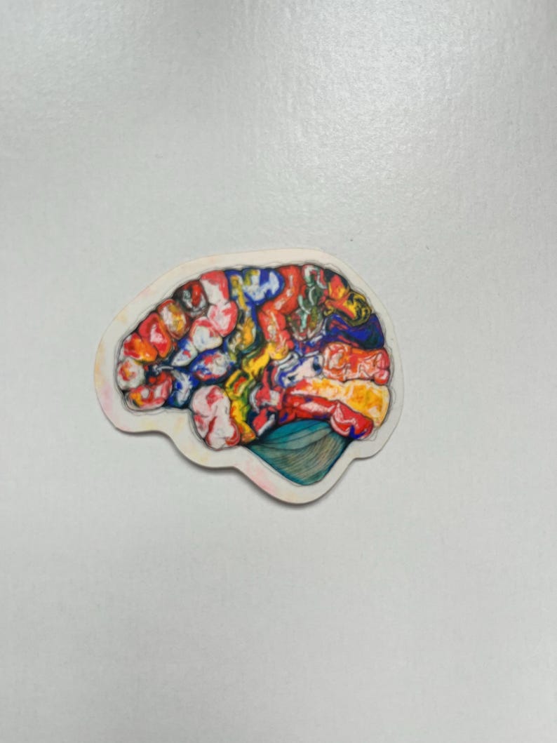 Anatomical Brain Sticker - Etsy