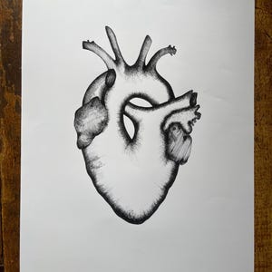 Black and White Anatomical Heart, Pen and Ink, Drawing, Anatomy, Love