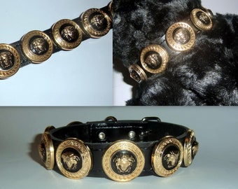 versace dog collar