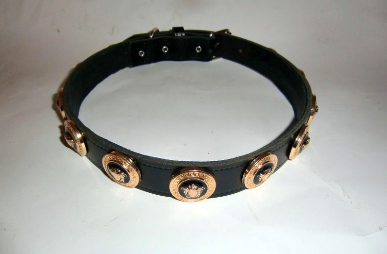 Versace Gold Medusa Head Studded Designer Dog collar.Fits 21 Etsy
