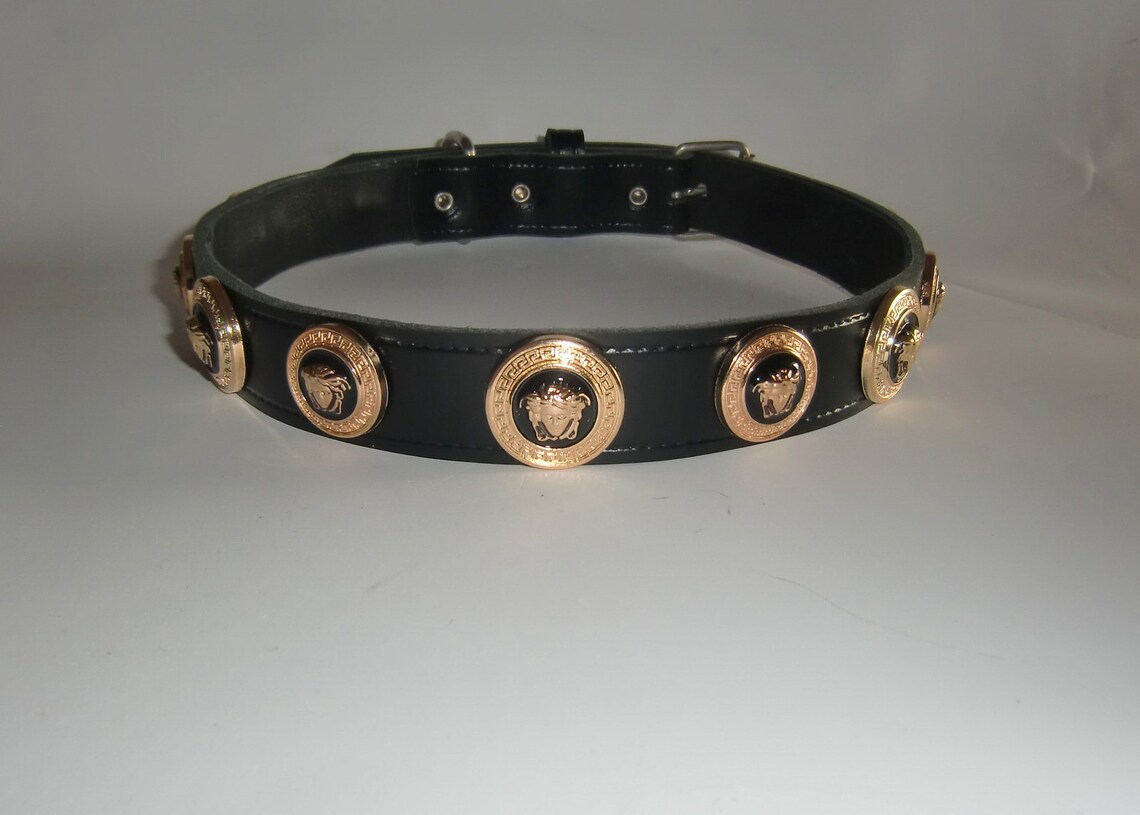 Versace Gold Medusa Head Studded Designer Dog collar.Fits 21 Etsy