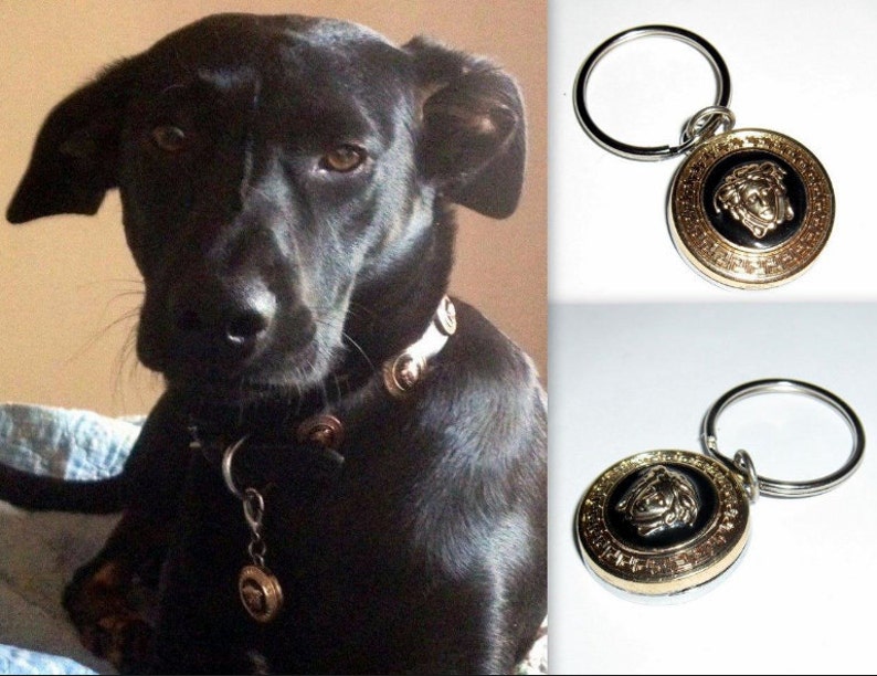 Versace Gold Medusa Head Pet Dog Cat Designer Identification Tag Image 0