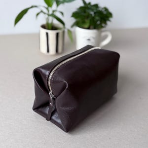 May include: A dark brown leather rectangular cosmetic bag with a silver zipper. The bag is sitting on a light gray surface. Two small potted plants are in the background.