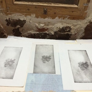 Print of organic form
