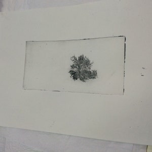Print of organic form white