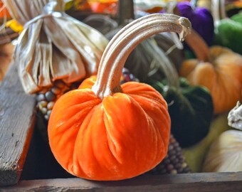 Silk Velvet Pumpkin in Sunset Orange, Size Small, Real Pumpkin Stem, Fall Decor, Table Centerpiece, Homemade Rustic Decoration