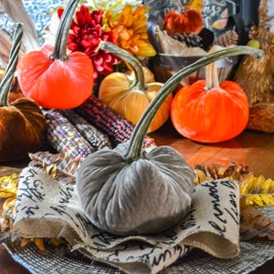 Silk Velvet Pumpkin in Latte, Size Medium, Real Pumpkin Stem, Fall Decor, Table Centerpiece, Homemade Rustic Decoration