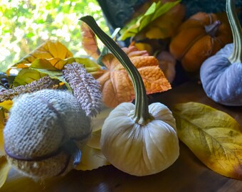 Silk Velvet Pumpkin in Champagne, Size Mini, Real Pumpkin Stem, Fall Decor, Table Centerpiece, Homemade Decoration