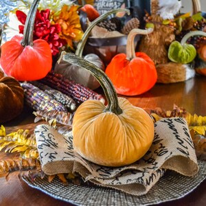 Calabaza de terciopelo de seda en mostaza, tamaño mediano, tallo de calabaza real, decoración de otoño, pieza central de mesa, decoración rústica casera