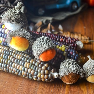 Puede incluir: Una colección de mazorcas de maíz indio de colores y decoraciones con forma de bellota con tapas marrones peludas. Las mazorcas están dispuestas en una fila sobre una superficie de madera.