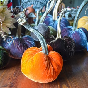 Silk Velvet Pumpkin in Sunset, Size Medium, Real Pumpkin Stem, Fall Decor, Table Centerpiece, Homemade Rustic Decoration