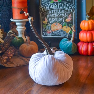 Silk Velvet Pumpkin in Haunted, Size Large, Real Pumpkin Stem, Size Large, Fall Decor, Table Centerpiece, Homemade Rustic Decoration