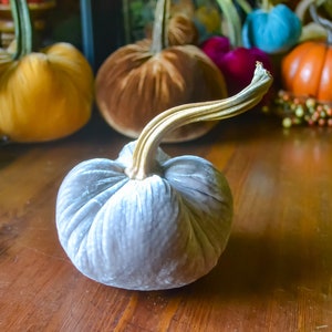 Silk Velvet Pumpkin in Mist, Real Pumpkin Stem, Size Medium, Fall Decor, Table Centerpiece, Homemade Rustic Decoration