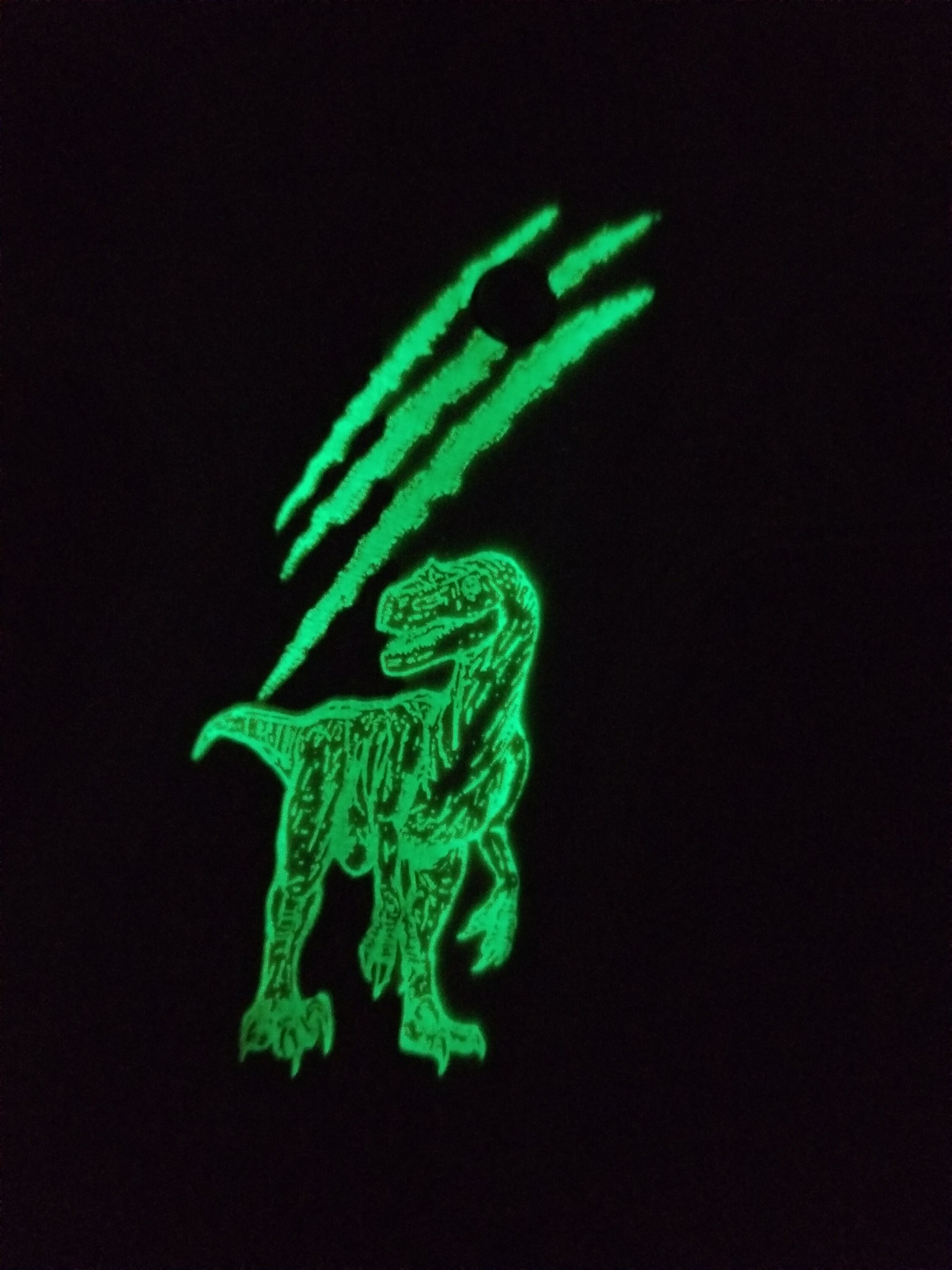 authentic raptor claw