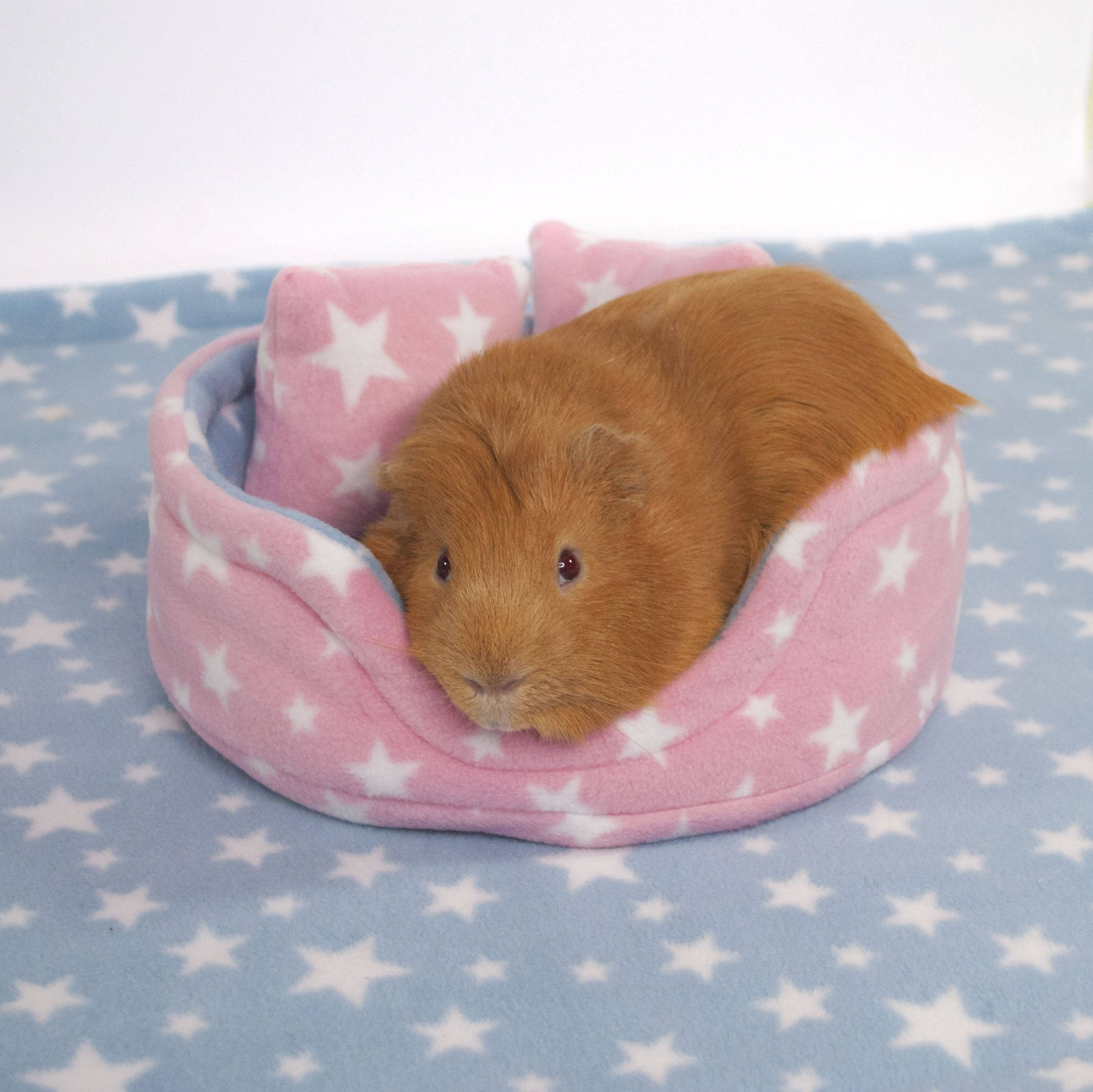 CUDDLE CUP Guinea Pig Small Animal Fleece Accessory Bed Cosy Etsy