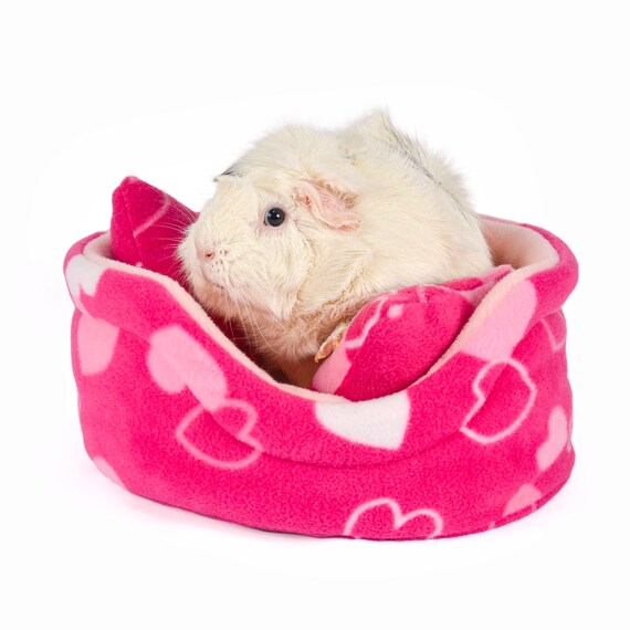 guinea pig cuddle cup