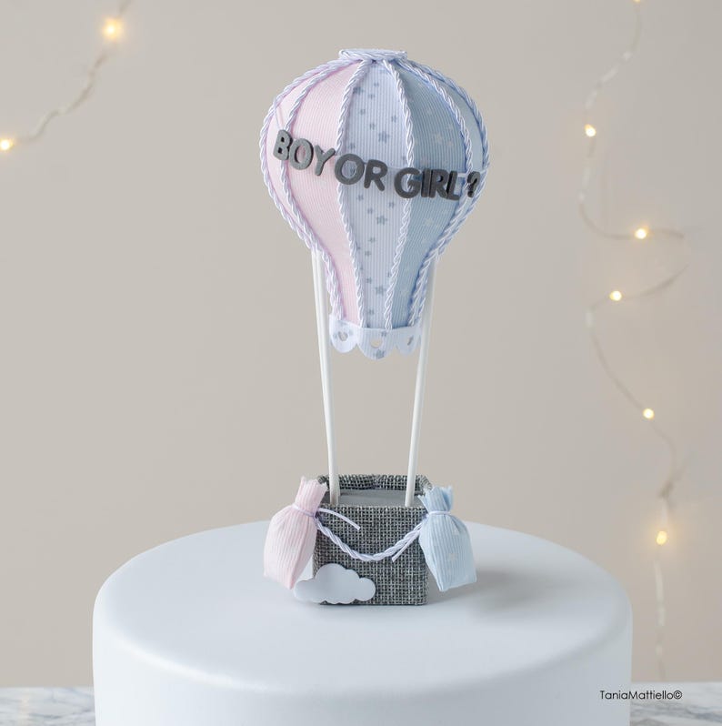 Gender Reveal Cake Topper, Pink and Blue Hot Air Balloon Cake Topper, Hot Air Balloon Gender Reveal Cake Topper, Gender Reveal Announcement image 1