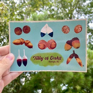 T*tty of Oaks Postcard | City of Oaks, Raleigh NC