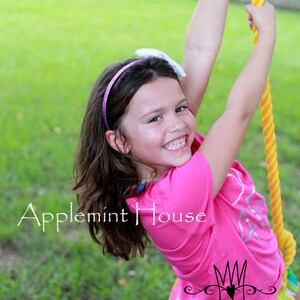 May include: A young girl with long brown hair wearing a pink shirt with a white crown and heart design and a rainbow striped skirt is swinging on a yellow rope. The text "Applemint House" is written in white on a green background. The text "Amanda Anselmi Photography" is written in white on a black background.