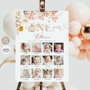 EDITIERBARE Wildblumen Herbst Kürbis Geburtstag Erster Geburtstag Foto Poster Blumen Schmetterling Zeichen Druckbare Vorlage Sofort-Download 1227K1