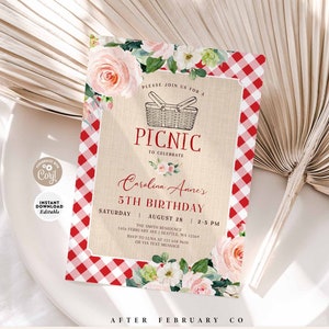 EDITABLE Blush Red Picnic Birthday Invitation Girl Blush Red Gingham Summer Park Birthday Party Printable Instant Download 1092V2 (1)