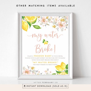 Lemon My Water Broke Baby Shower Game Printable  Decorations Decors Girl Blush Pink Floral Citrus Lemonade Instant Download Digital 1214