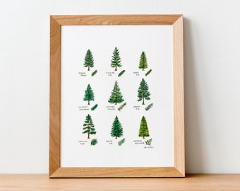 Pine Tree Watercolor Print | 8x10 Botanical Painting | Plant Decor