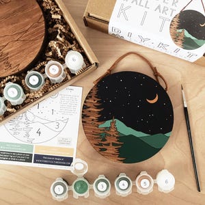 Night Sky Overlook Paint by Number Kit | DIY Craft Kit for Adults | Wood Wall Art | Mountain Art | Small Wall Art – adult craft kit