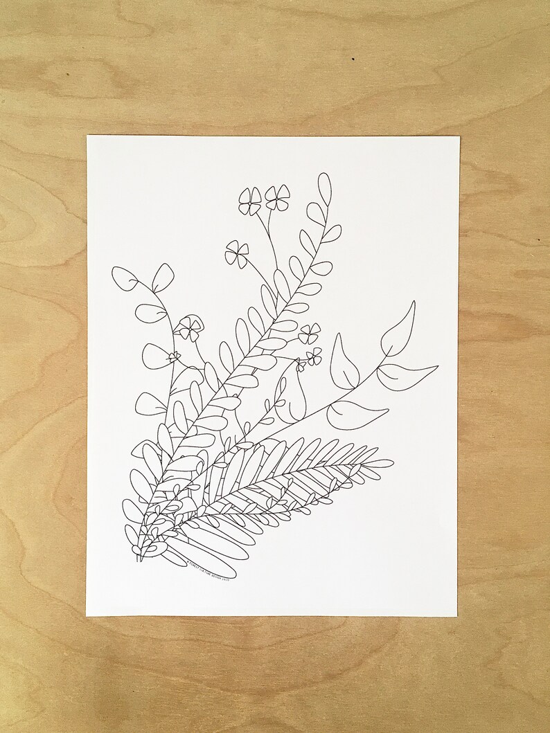 Set of 4 Botanical Coloring Pages Printable Download - Etsy