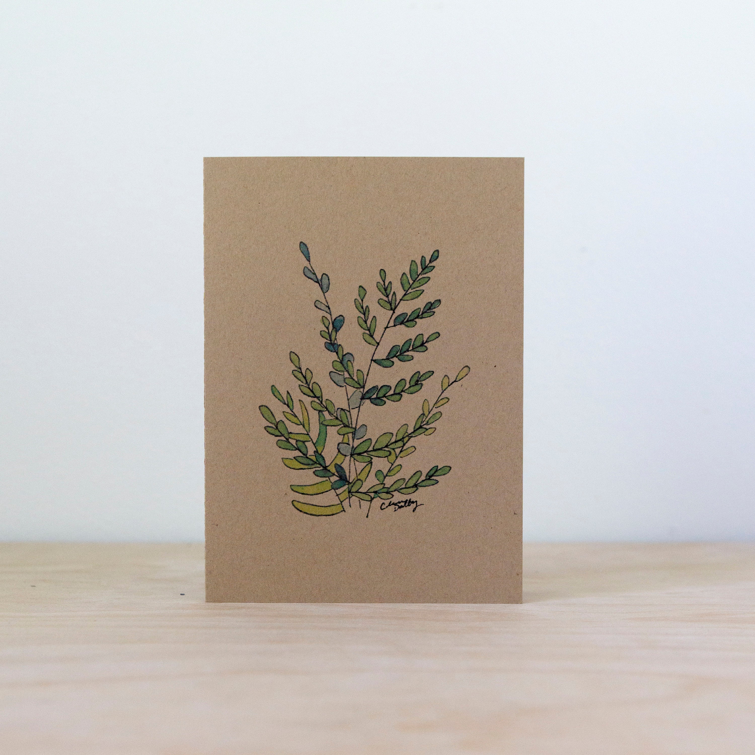 Paper Blank Inside Greeting Card Botanical Card Wildflower Card Inverted Triangle Blank Cards
