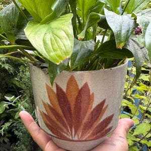 May include: A cylindrical ceramic planter with a speckled off-white glaze featuring a stylised, fan-shaped leaf pattern in shades of burnt orange and deep brown. The pot contains a lush green plant with broad, pointed leaves extending upwards.