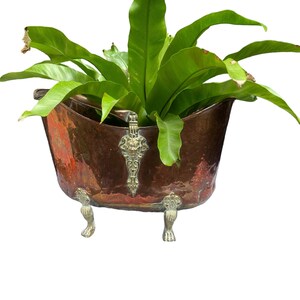May include: A copper planter with ornate brass feet and handles, holding a green fern plant.