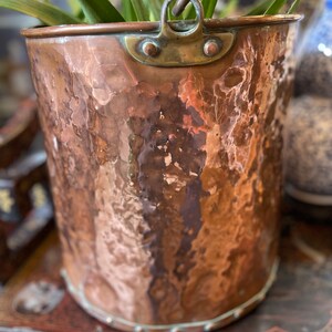 May include: A hammered copper planter with a brass rim and handle. The planter is filled with green plants.