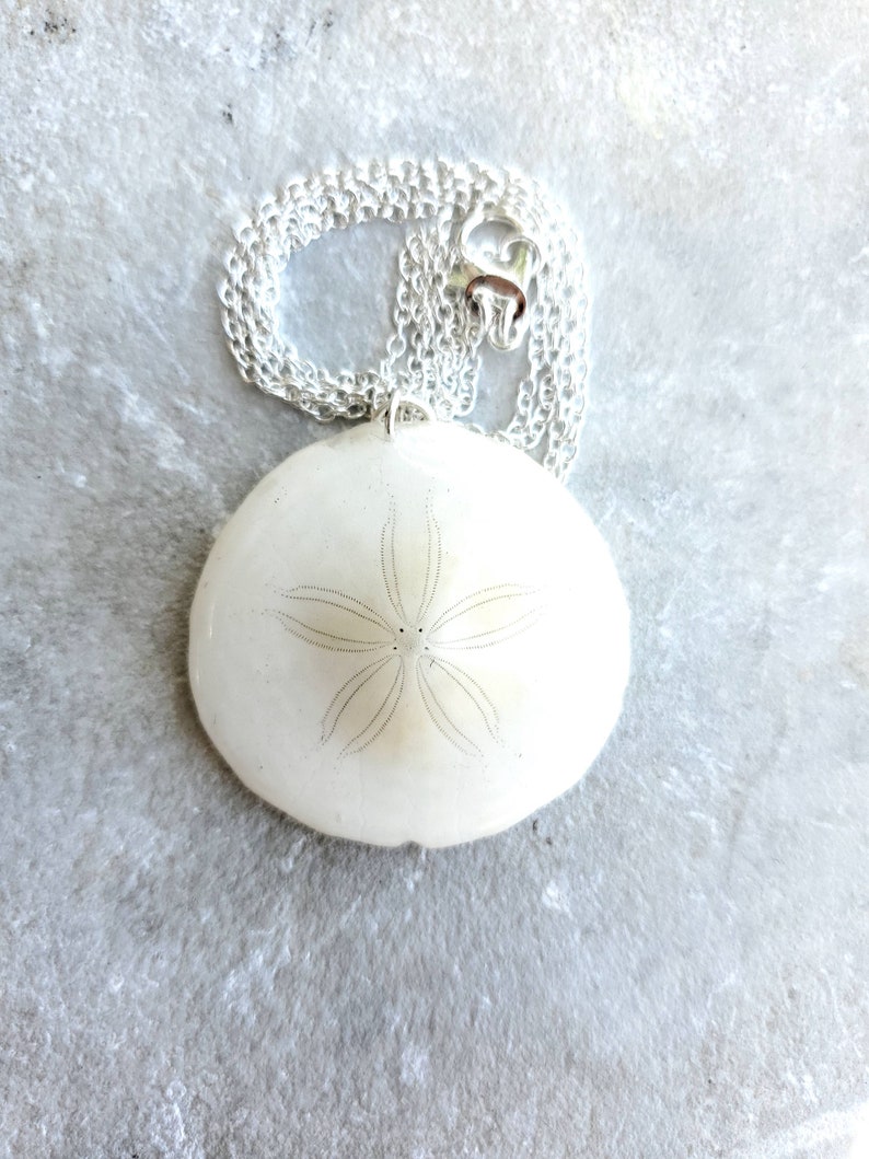 Handmade White Sand Dollar Silver Necklace