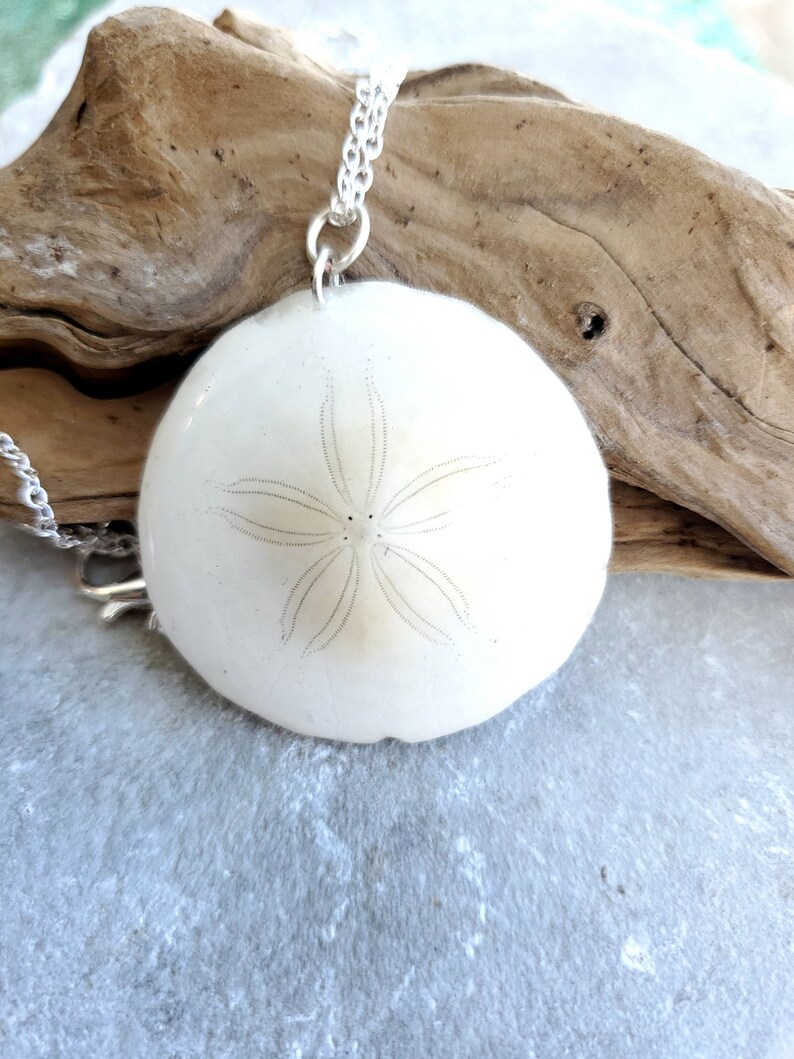 Handmade White Sand Dollar Silver Necklace