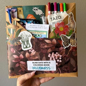 May include: A brown paper package with a floral design, containing a coloring book labeled "Wilderness." The package includes stickers of animals, a cassette tape, markers, and a Tazo Vanilla Bean Macaron tea packet.