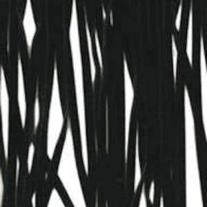 May include: Black fringe trim with a frayed edge. The fringe is approximately 1 inch long.