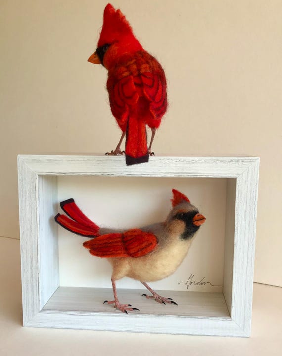 Cardinals Male and Female