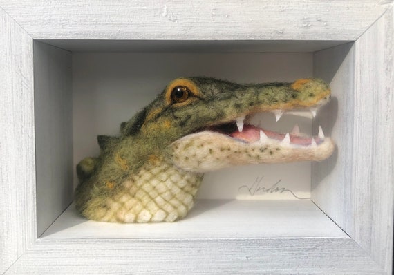 Alligator