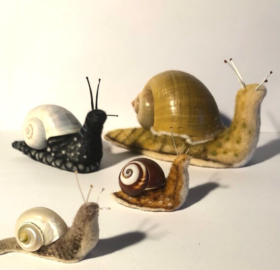 You’ve Got Snails!