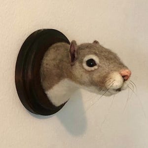 Squirrel Trophy Mount - 4x4” Needle Felt Sculpture - Magnus and Gordon Gallery