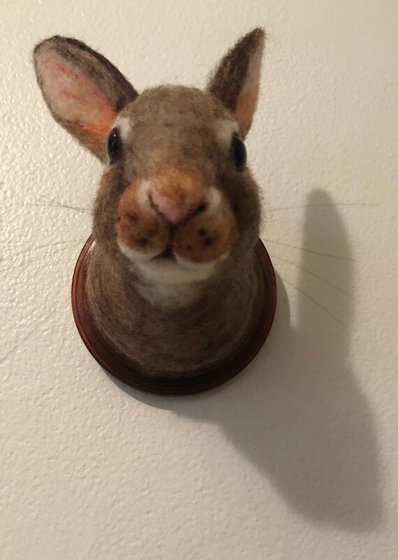 Cottontail Rabbit Trophy Mount