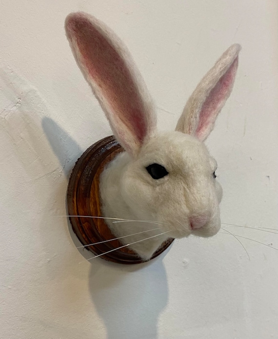 White Bunny Trophy Mount