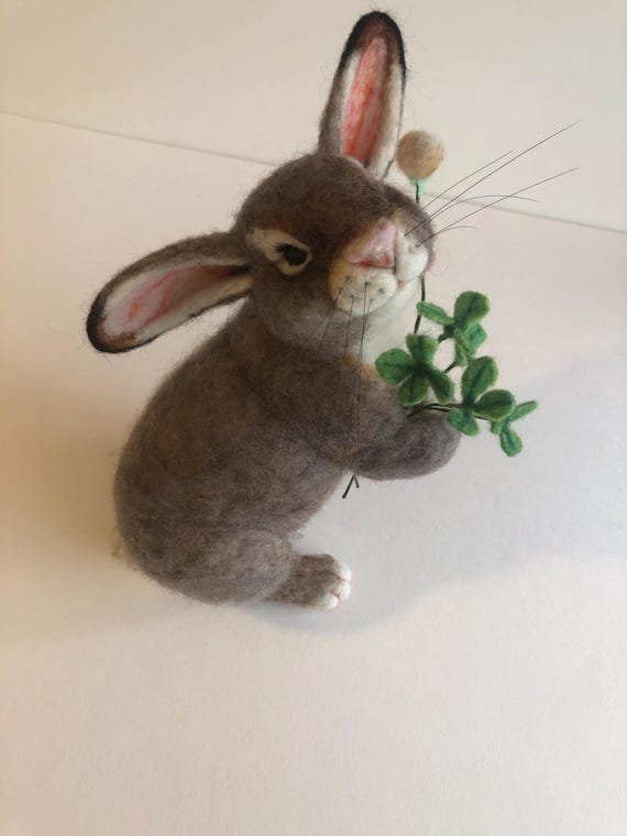 Bunny, Oh Clover!