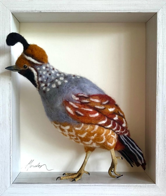 Bob White Quail