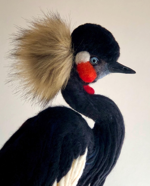 Black Crowned Crane