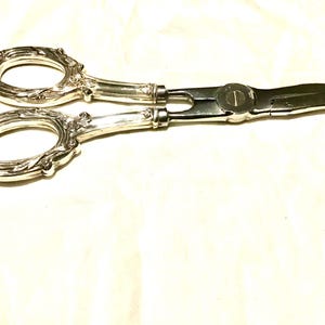 May include: Silver-toned serving scissors with ornate handles and a curved blade. The handles feature a decorative floral design. The scissors are designed for serving food items.