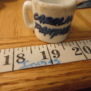 Carolina Panthers Collectible Mini Porcelain Mug: 1990s NFL Cup
